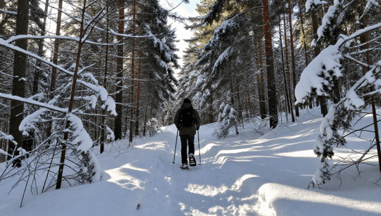 Winter hiking in Chamonix: unforgettable alpine adventure